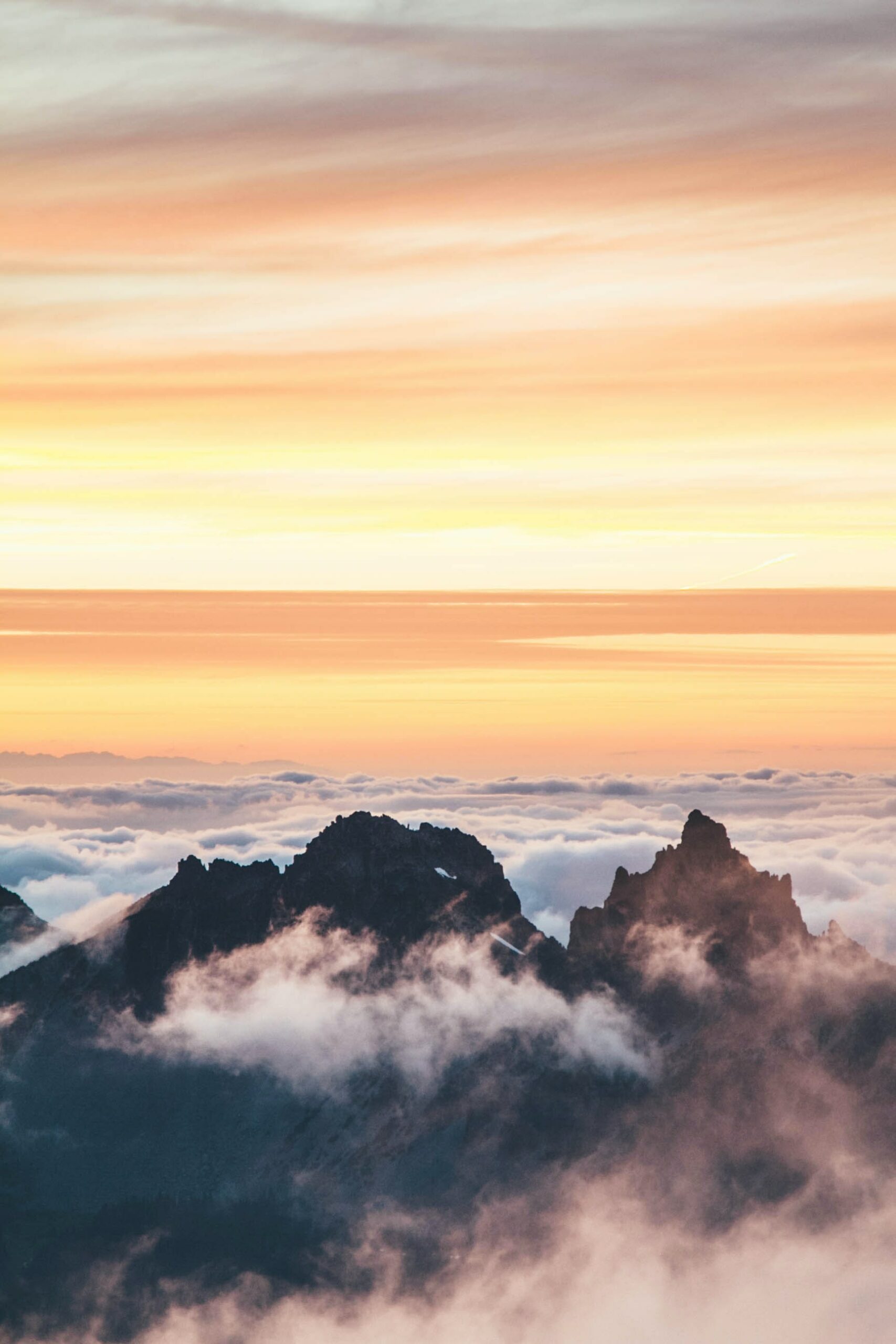 Healing Summit launches mini online events