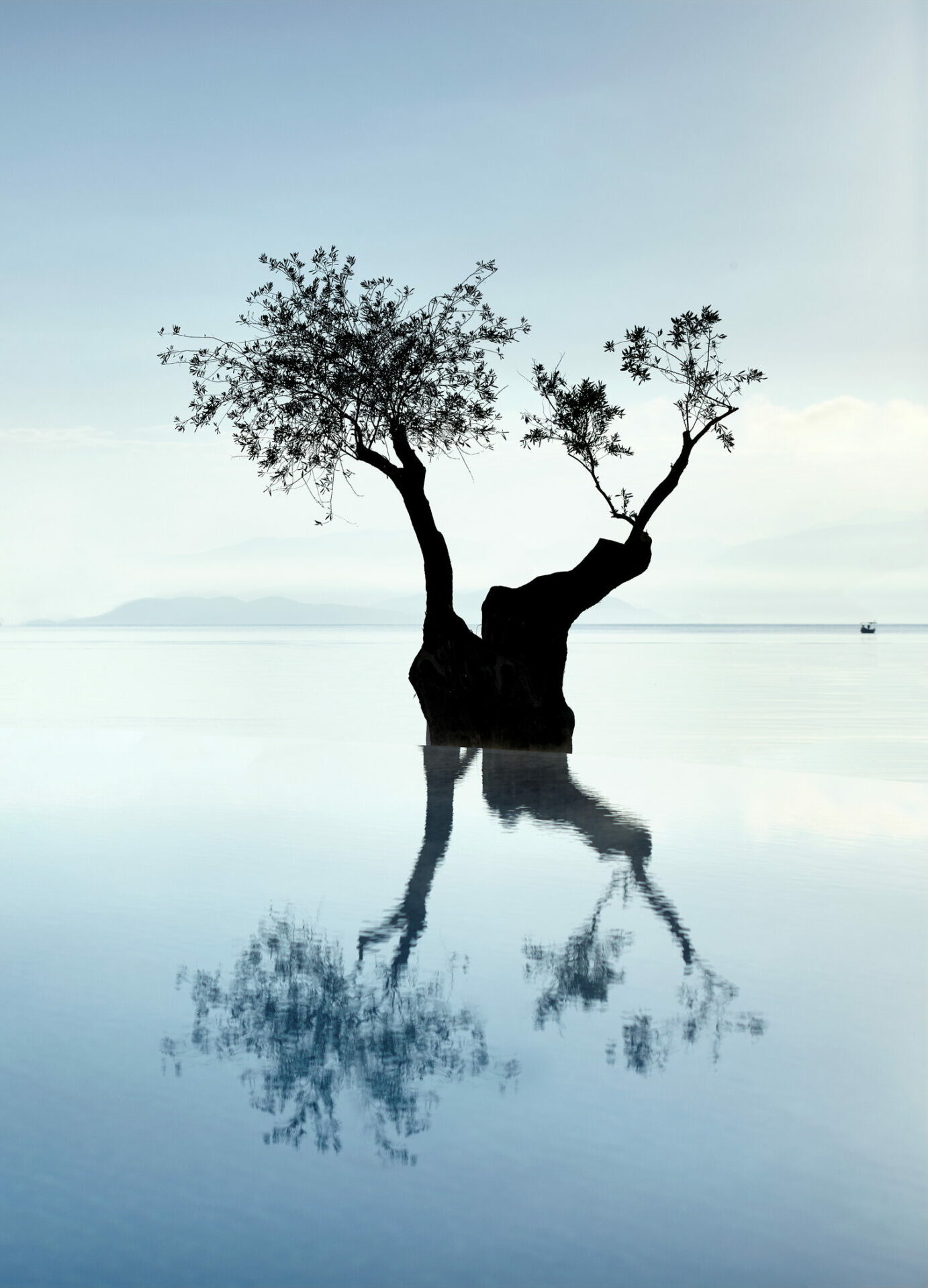 Ikos Dassia relaunches zero waste programme