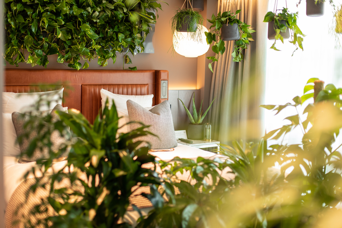 hotel bedroom with plants