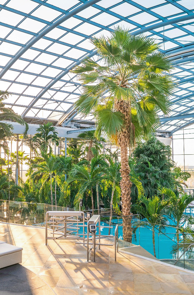 Therme Group confirms plans for more UK wellness centres