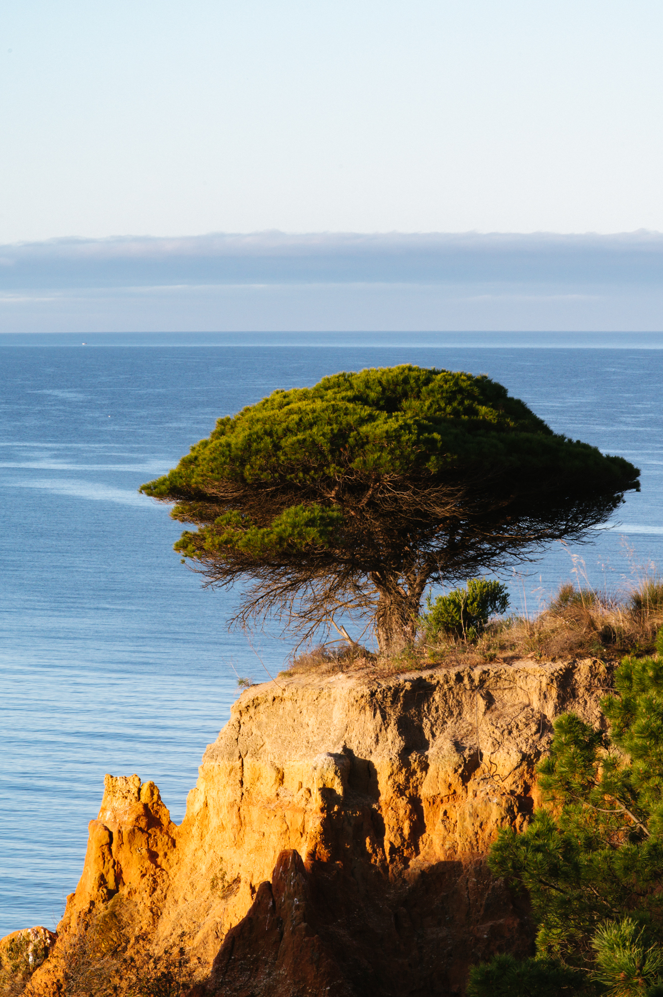 More speakers announced for 2022 Healing Summit in Portugal