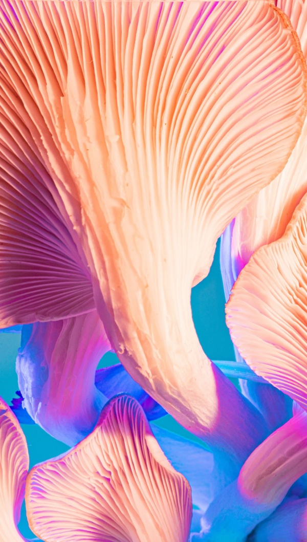GWS predicts 2023 wellness trends