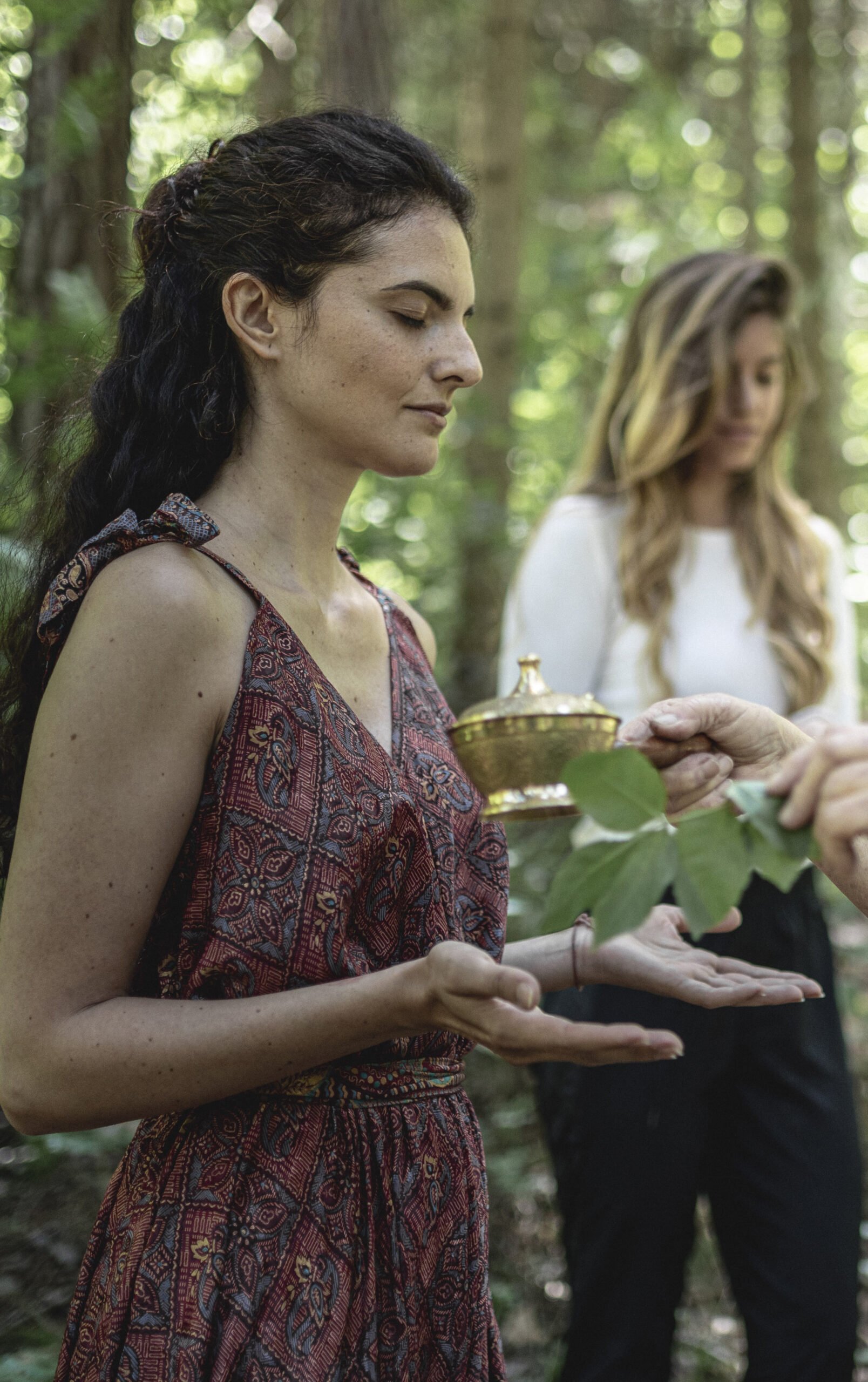 Preidlhof announces new transformational wellness offering