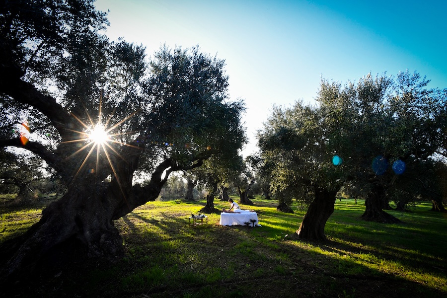 Woman experiencing a massage in an olive grove at sunset