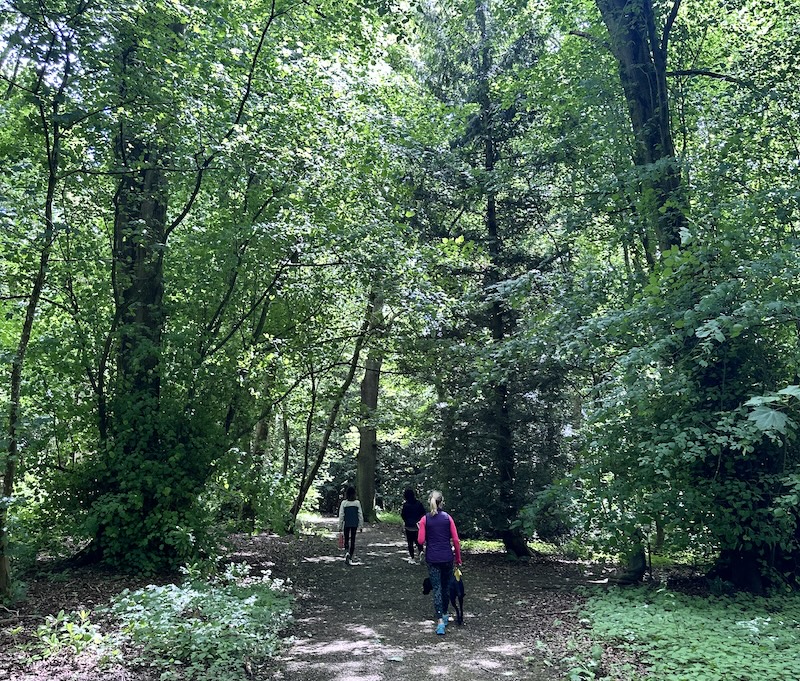 People walking in the woods