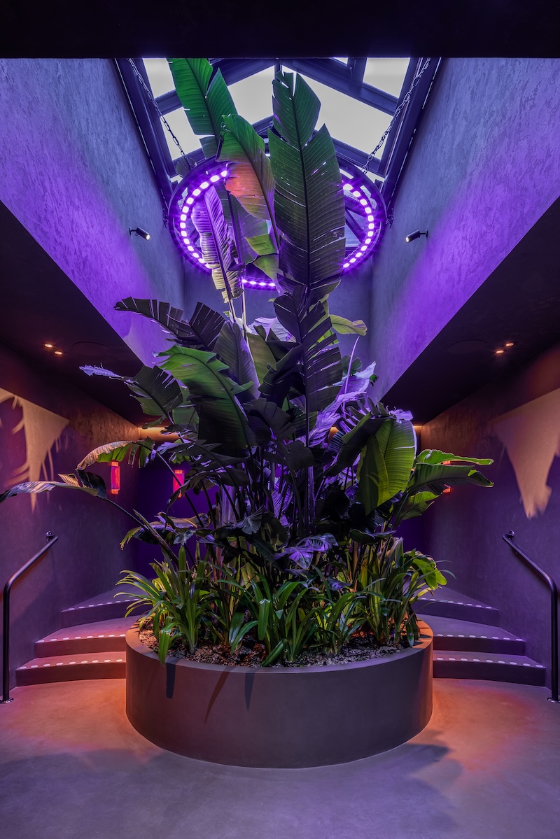 Damu spa opens at the Mandrake London