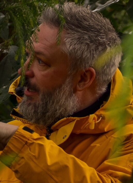 Man stood amongst a forest talking
