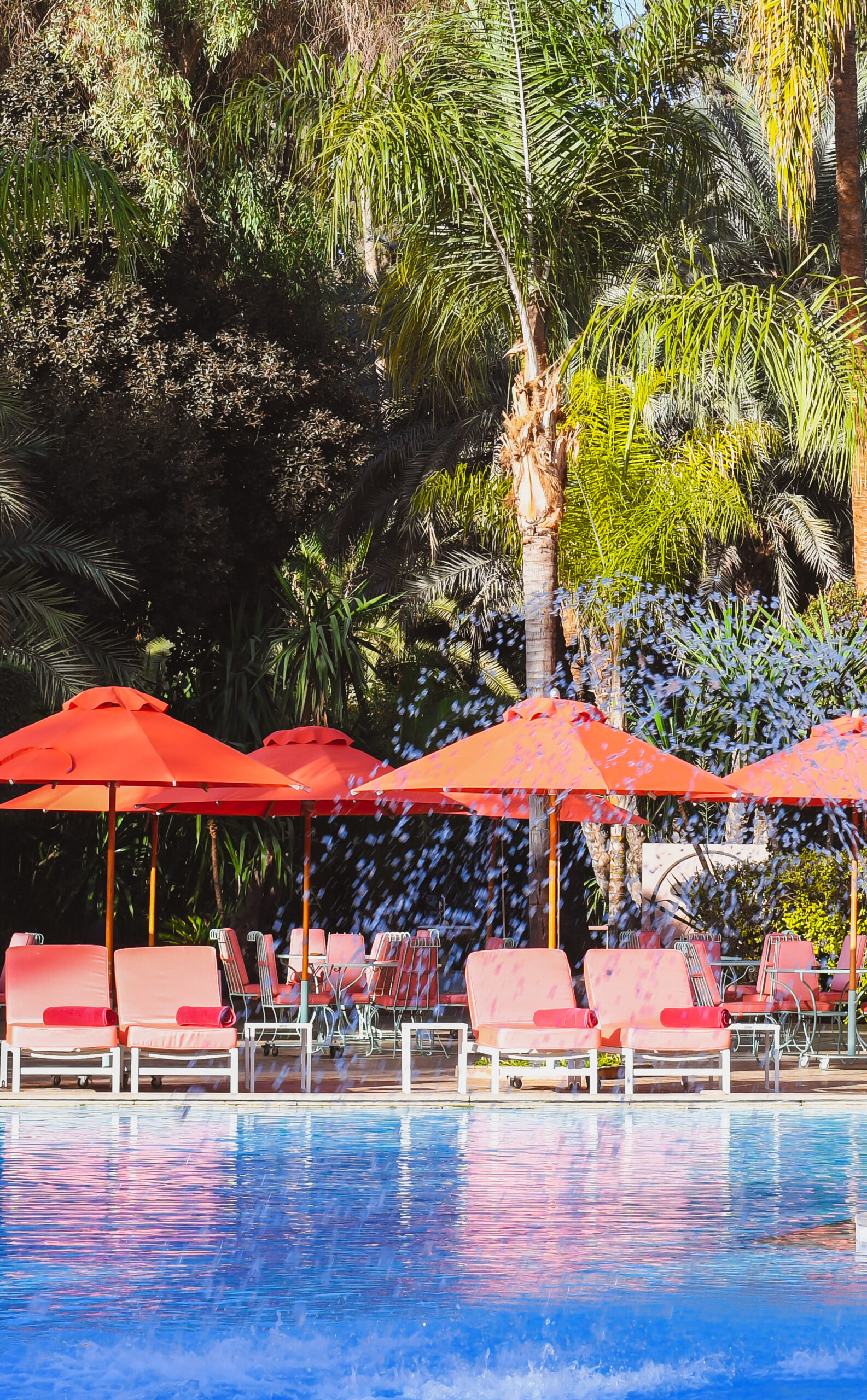 Africa Wellness Congress reveals programme of events