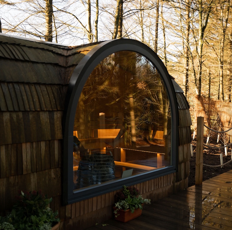 Wooden sauna in a forest setting