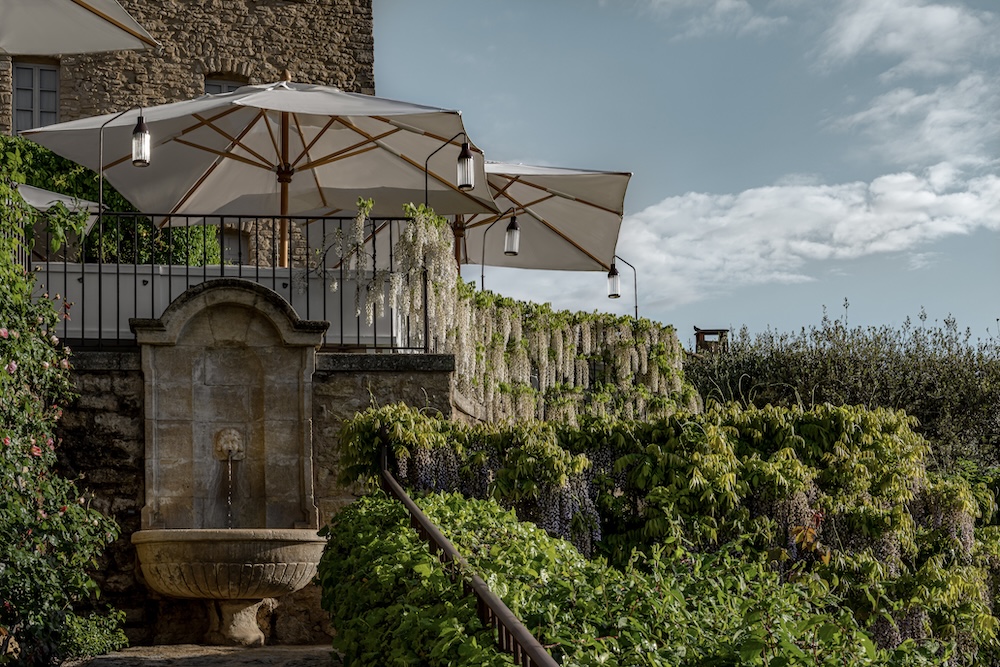 terrace with wisteria