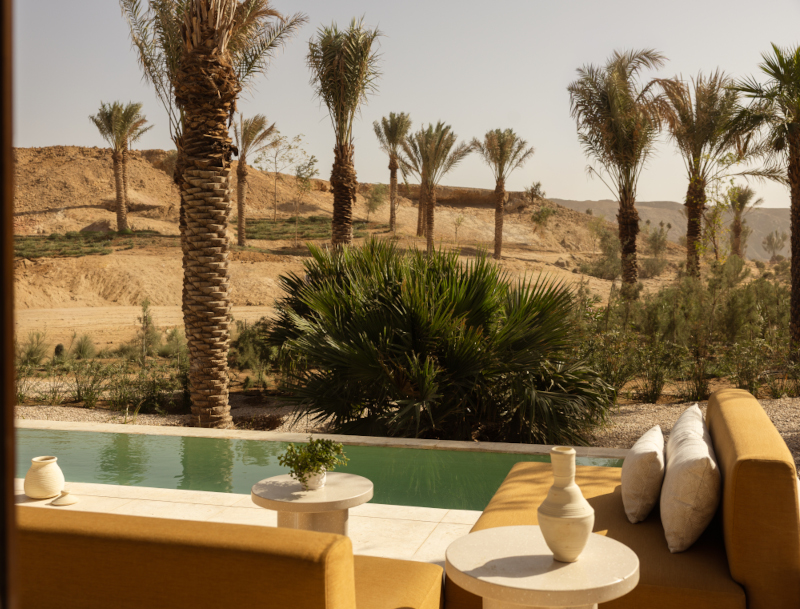 A pool overlooking a Saudi Arabian landscape