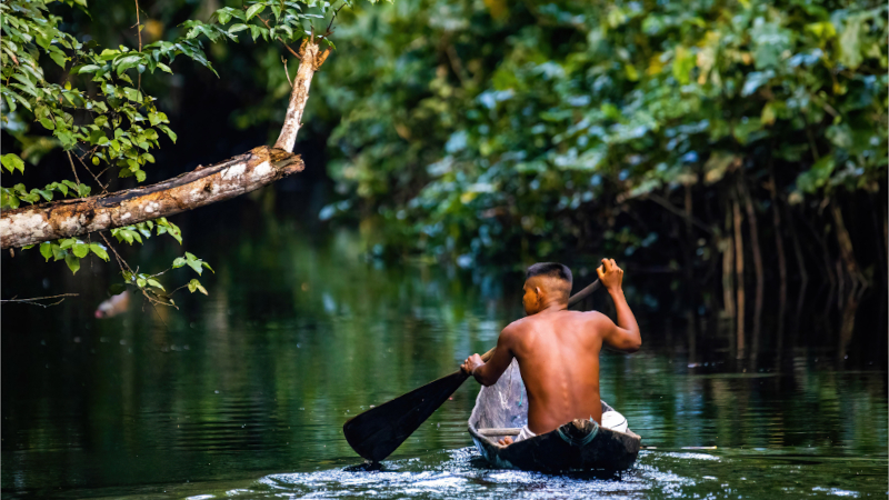 Man paddling a canoe in river in rainforest landnscape
